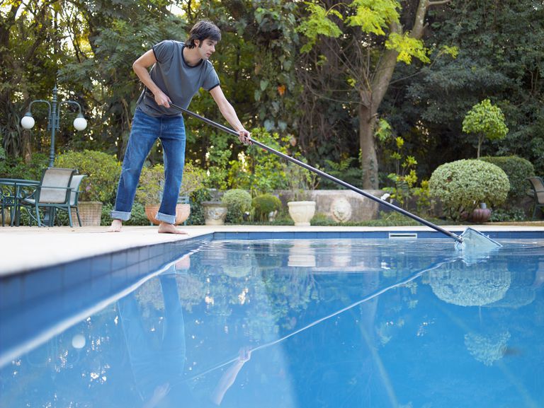 Bugs Away from Your Swimming Pool