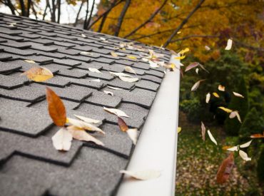 clean gutters