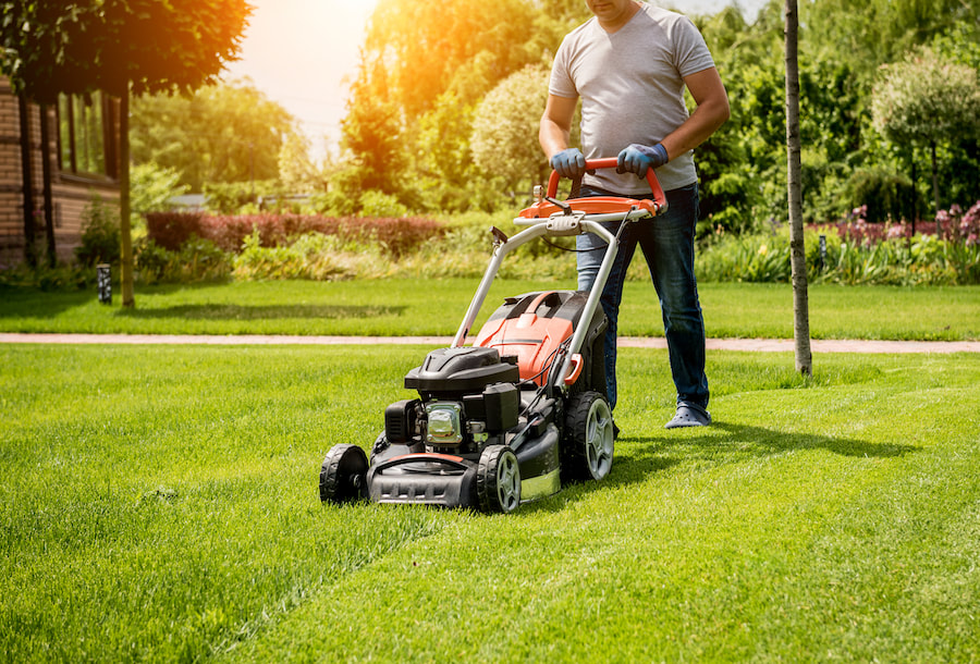 Lawn Care And Maintenance