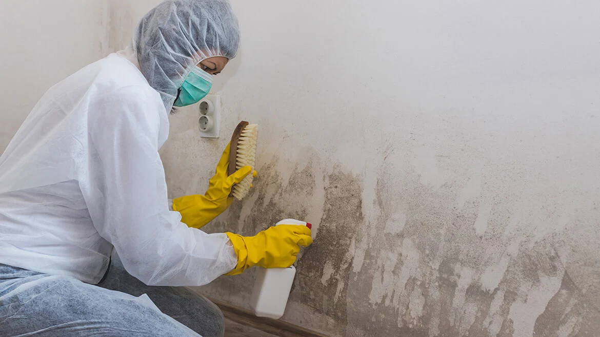Mold-Removing-Your-Home